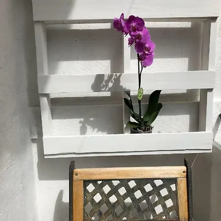 Apartment Cappuccini *